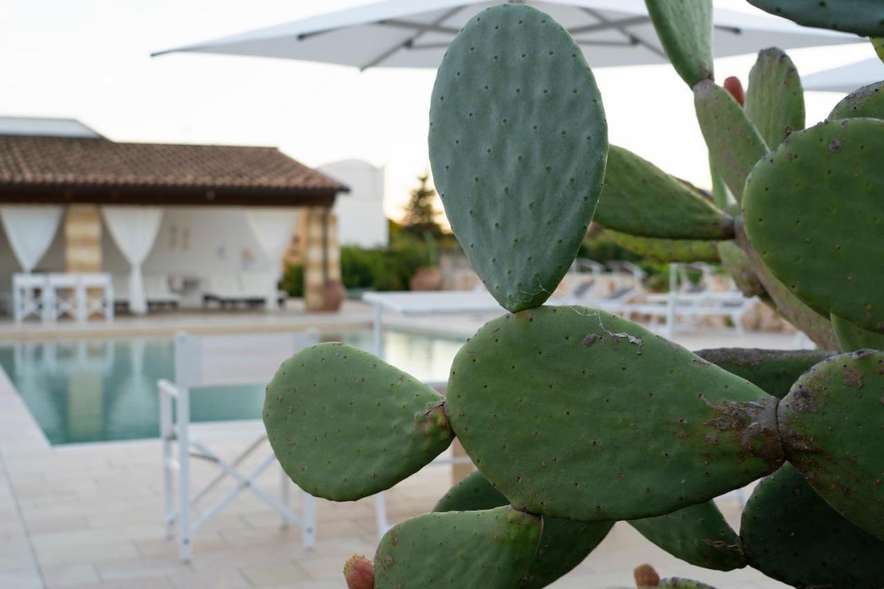 Masseria Tenuta Flora Maria 레베라노 외부 사진