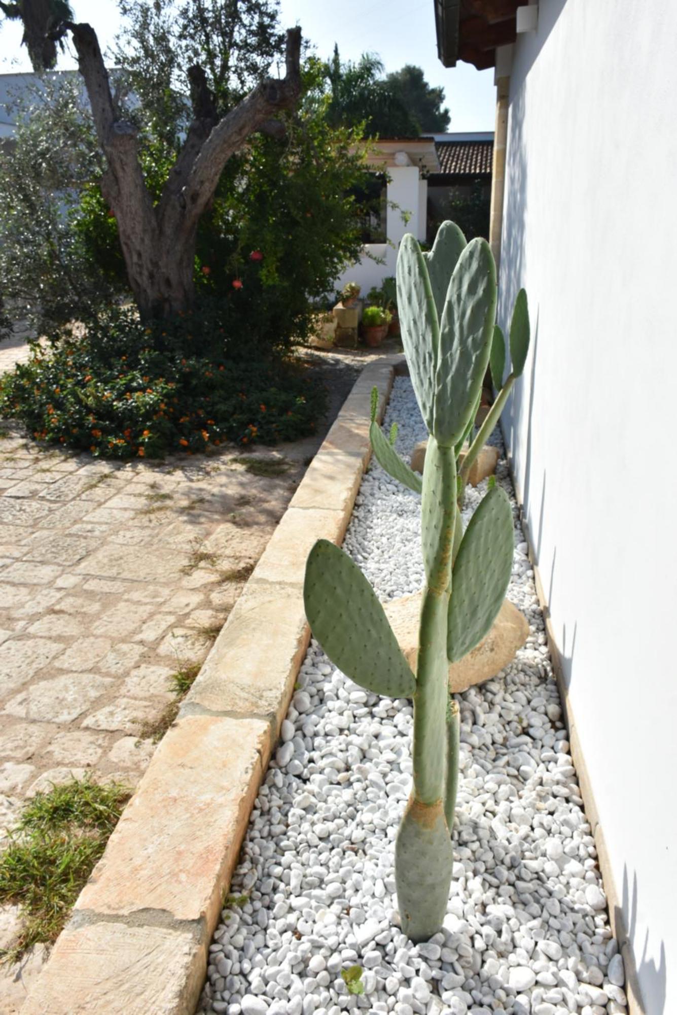 Masseria Tenuta Flora Maria 레베라노 외부 사진